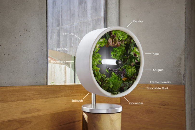 The Rotofarm Is A Nasa-Inspired, Sculptural Hydroponic System