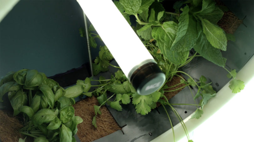 The Rotofarm Is A Nasa-Inspired, Sculptural Hydroponic System
