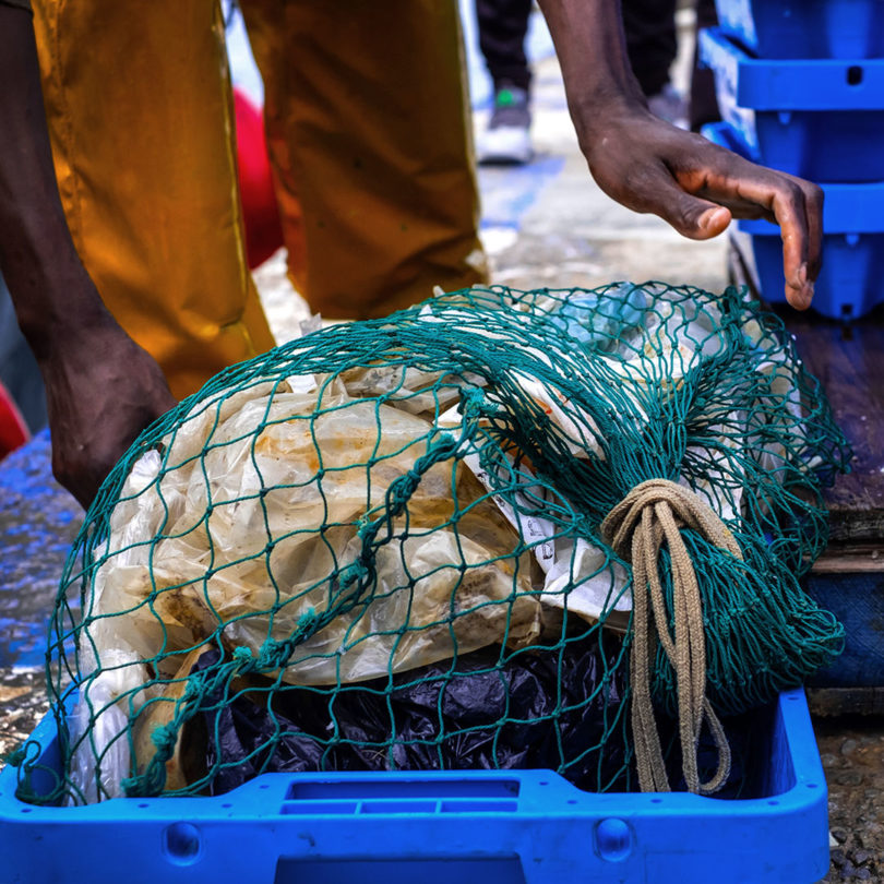 Circular by Design: Camira + SEAQUAL Turn Ocean Plastic into Upholstery Fabric