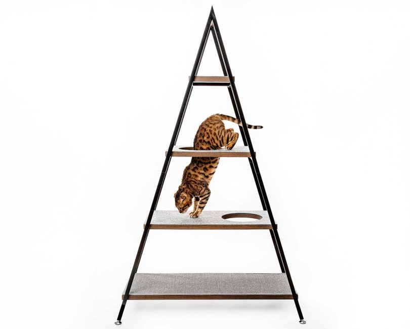 Modern Cat Furniture You And Your Pet Will Love