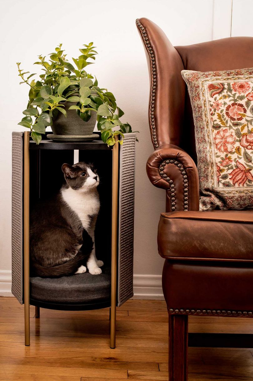 Modern Cat Furniture You And Your Pet Will Love