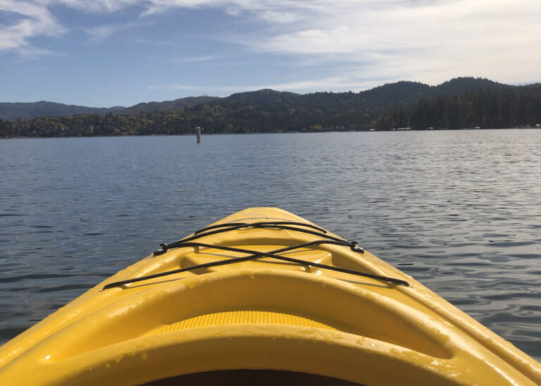 Day Of Election Thoughts As I Was Stranded On A Kayak, And Why We Later Made Our Trump Supporting Neighbors Cookies ...